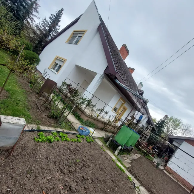 Régi meglévő homlokzat , festés után.